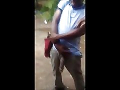 Prikazuje konja petelin za sluts