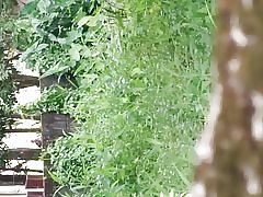 Šrilanške zunanji par v parlamentu hoja sledenje